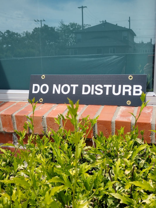 Rider reading DO NOT DISTURB. Grommets in 4 corners on a brick ledge.